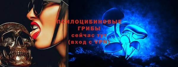 круглые Алзамай