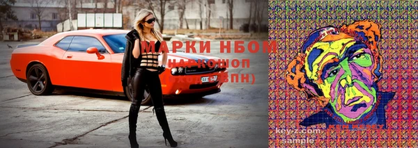 круглые Алзамай